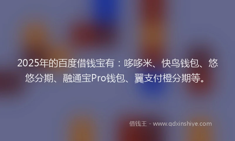 2025年的百度借钱宝有：哆哆米、快鸟钱包、悠悠分期、融通宝Pro钱包、翼支付橙分期等。