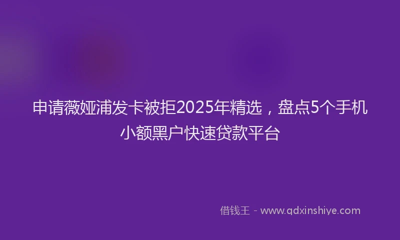申请薇娅浦发卡被拒2025年精选，盘点5个手机小额黑户快速贷款平台