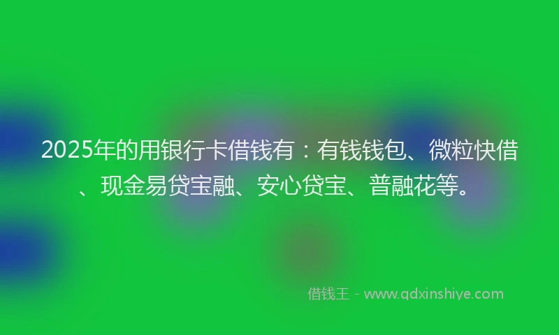 2025年的用银行卡借钱有：有钱钱包、微粒快借、现金易贷宝融、安心贷宝、普融花等。