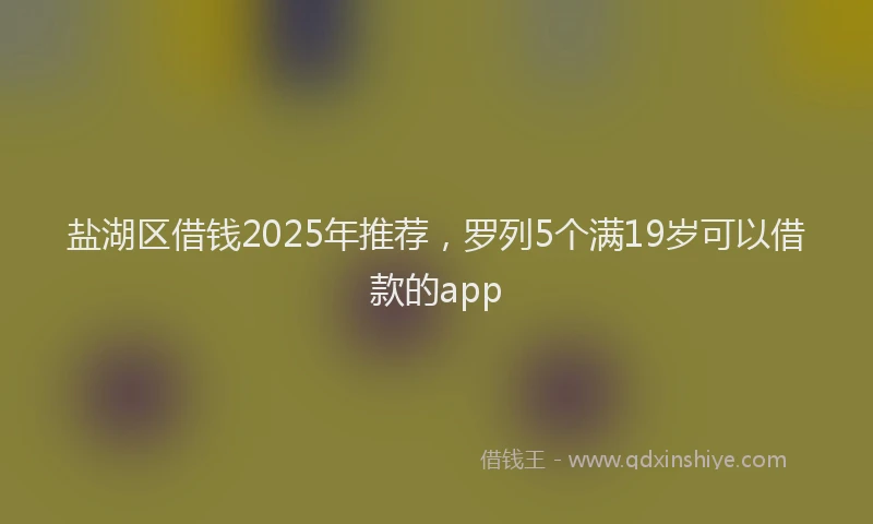 盐湖区借钱2025年推荐，罗列5个满19岁可以借款的app