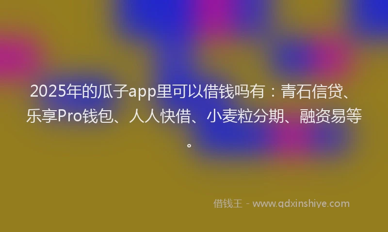 2025年的瓜子app里可以借钱吗有：青石信贷、乐享Pro钱包、人人快借、小麦粒分期、融资易等。