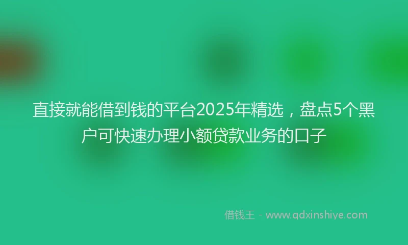 直接就能借到钱的平台2025年精选，盘点5个黑户可快速办理小额贷款业务的口子