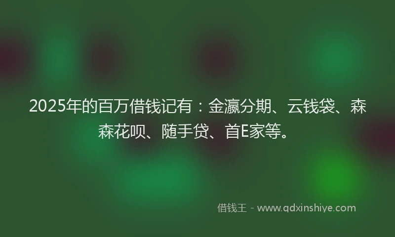 2025年的百万借钱记有：金瀛分期、云钱袋、森森花呗、随手贷、首E家等。