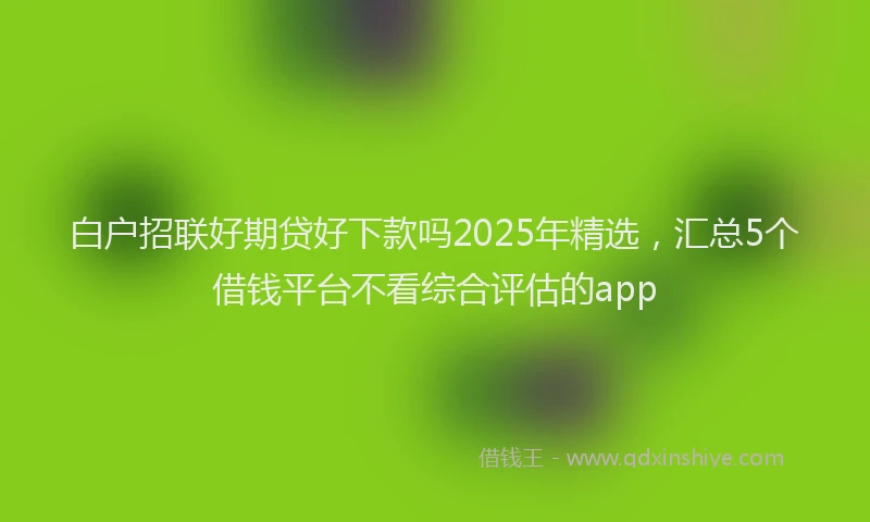 白户招联好期贷好下款吗2025年精选，汇总5个借钱平台不看综合评估的app