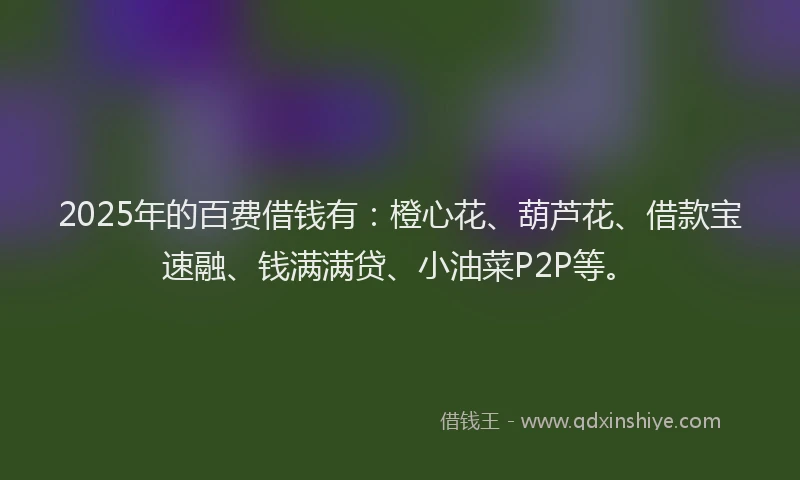 2025年的百费借钱有：橙心花、葫芦花、借款宝速融、钱满满贷、小油菜P2P等。