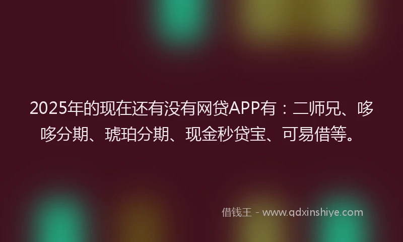 2025年的现在还有没有网贷APP有：二师兄、哆哆分期、琥珀分期、现金秒贷宝、可易借等。