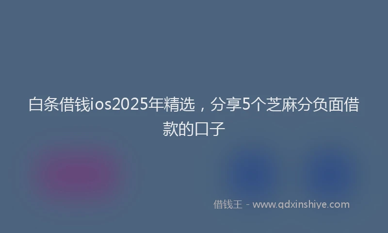 白条借钱ios2025年精选，分享5个芝麻分负面借款的口子