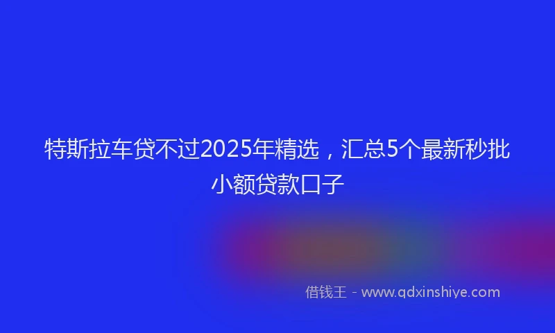 特斯拉车贷不过2025年精选，汇总5个最新秒批小额贷款口子