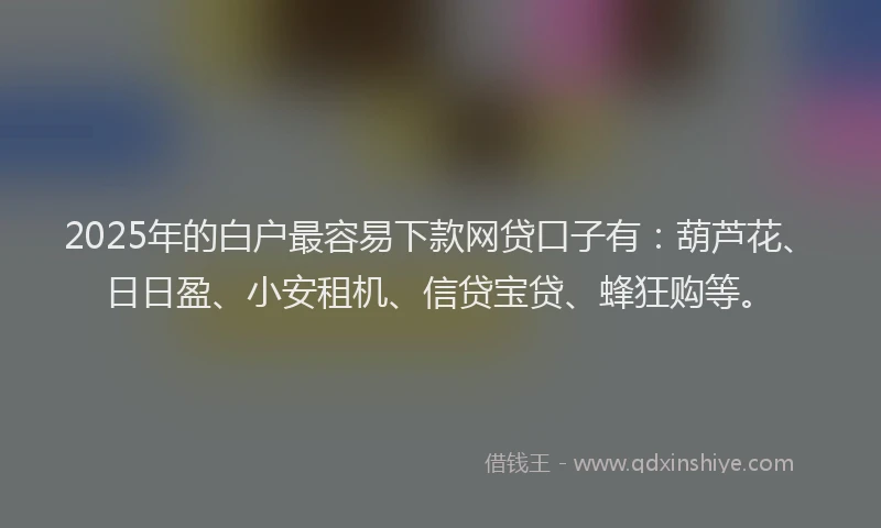 2025年的白户最容易下款网贷口子有：葫芦花、日日盈、小安租机、信贷宝贷、蜂狂购等。