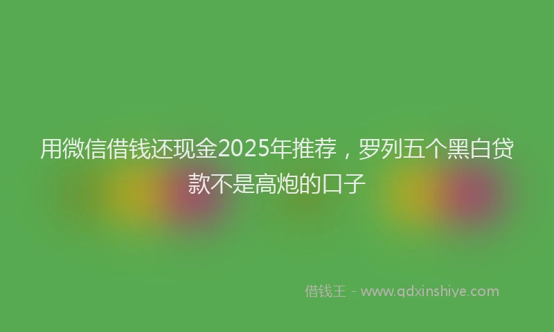 用微信借钱还现金2025年推荐，罗列五个黑白贷款不是高炮的口子