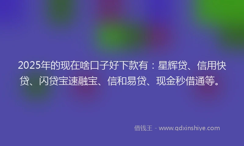 2025年的现在啥口子好下款有：星辉贷、信用快贷、闪贷宝速融宝、信和易贷、现金秒借通等。