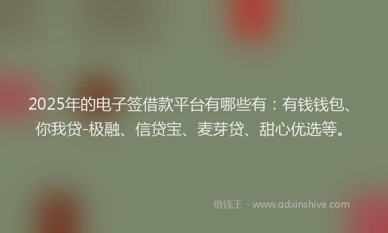 2025年的电子签借款平台有哪些有：有钱钱包、你我贷-极融、信贷宝、麦芽贷、甜心优选等。