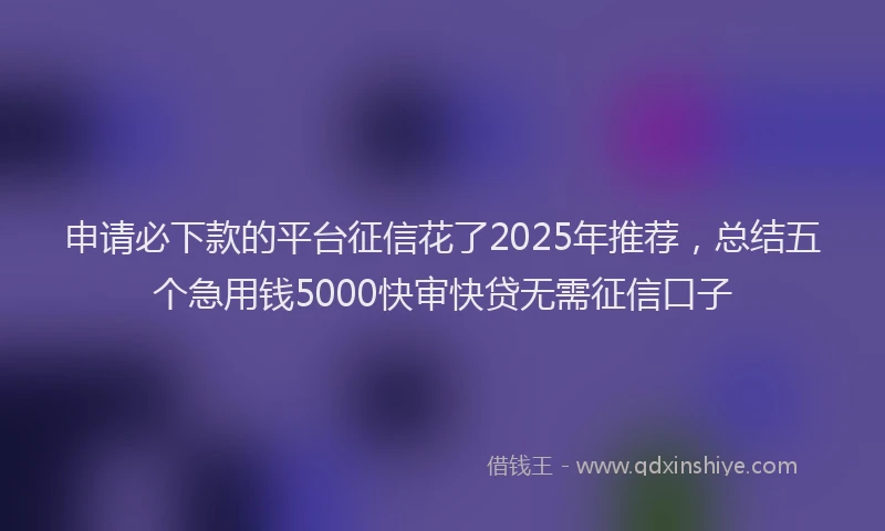 申请必下款的平台征信花了2025年推荐，总结五个急用钱5000快审快贷无需征信口子