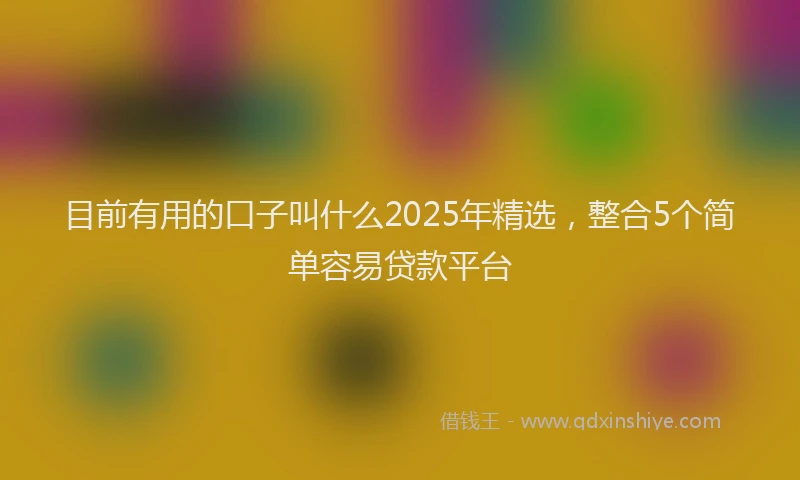 目前有用的口子叫什么2025年精选，整合5个简单容易贷款平台