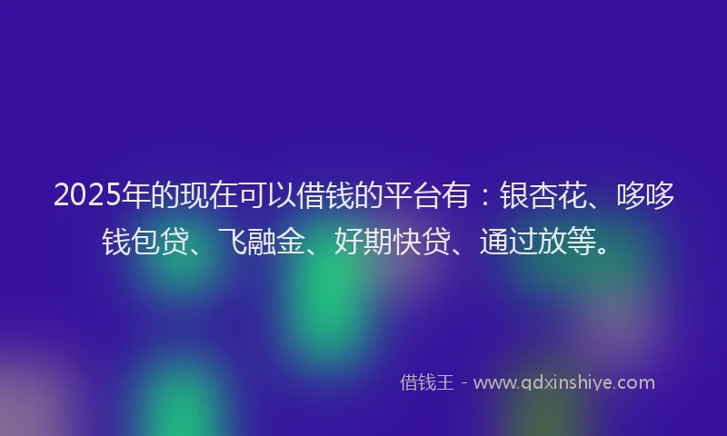 2025年的现在可以借钱的平台有：银杏花、哆哆钱包贷、飞融金、好期快贷、通过放等。
