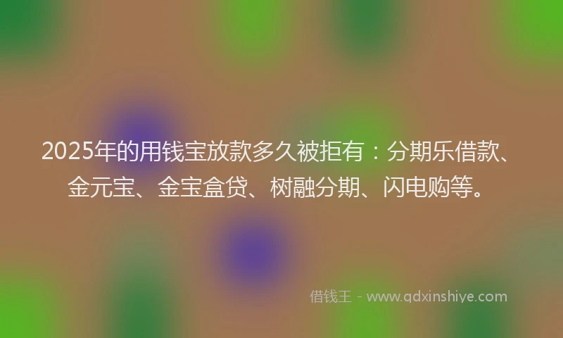 2025年的用钱宝放款多久被拒有：分期乐借款、金元宝、金宝盒贷、树融分期、闪电购等。