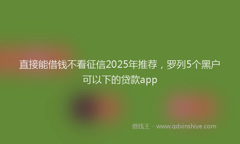 直接能借钱不看征信2025年推荐，罗列5个黑户可以下的贷款app