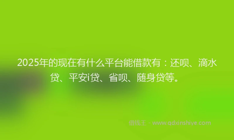 2025年的现在有什么平台能借款有：还呗、滴水贷、平安i贷、省呗、随身贷等。