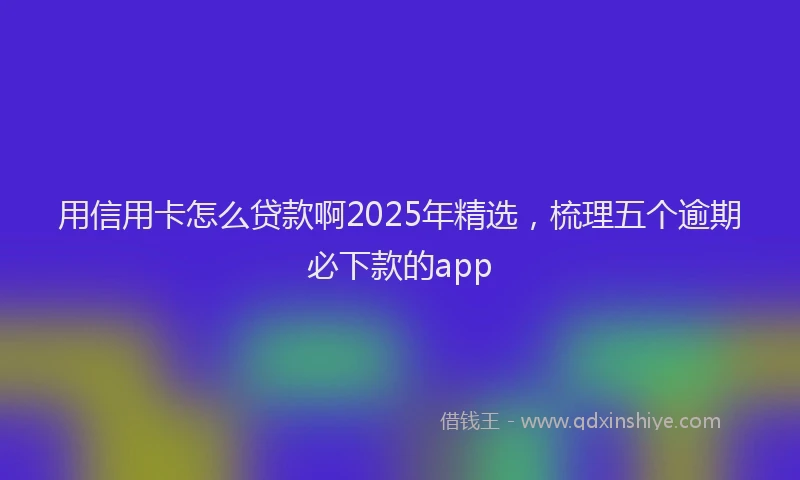 用信用卡怎么贷款啊2025年精选，梳理五个逾期必下款的app