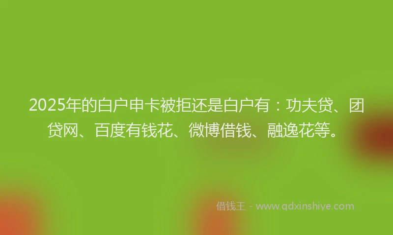 2025年的白户申卡被拒还是白户有：功夫贷、团贷网、百度有钱花、微博借钱、融逸花等。