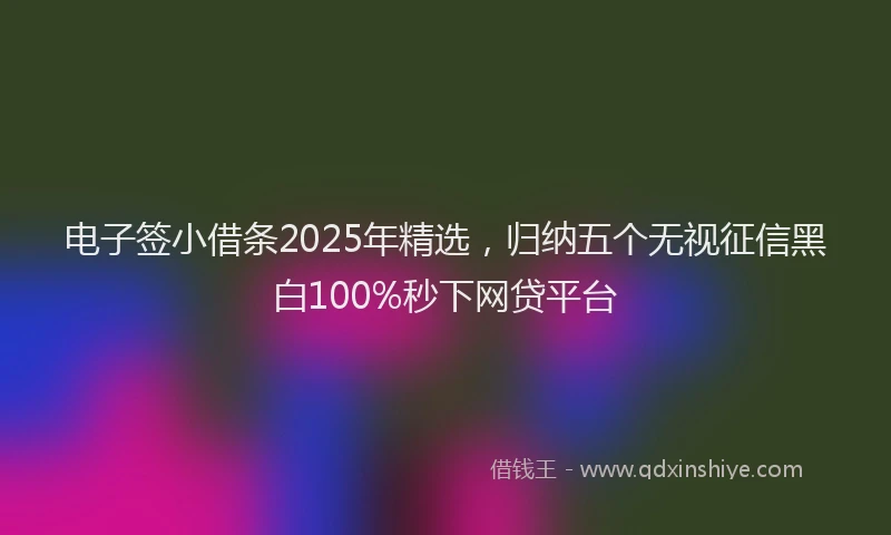 电子签小借条2025年精选，归纳五个无视征信黑白100%秒下网贷平台