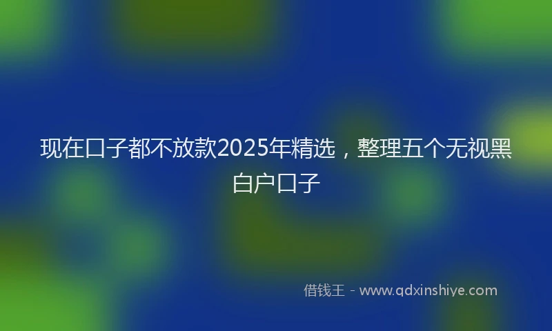 现在口子都不放款2025年精选，整理五个无视黑白户口子