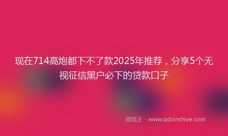 现在714高炮都下不了款2025年推荐，分享5个无视征信黑户必下的贷款口子