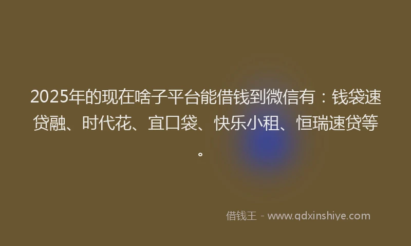 2025年的现在啥子平台能借钱到微信有：钱袋速贷融、时代花、宜口袋、快乐小租、恒瑞速贷等。
