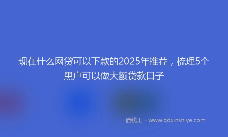 现在什么网贷可以下款的2025年推荐，梳理5个黑户可以做大额贷款口子