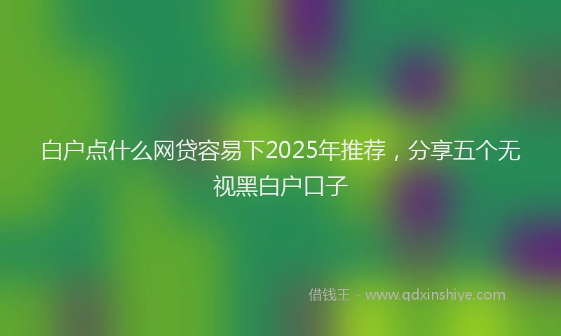 白户点什么网贷容易下2025年推荐，分享五个无视黑白户口子