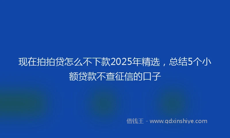 现在拍拍贷怎么不下款2025年精选，总结5个小额贷款不查征信的口子