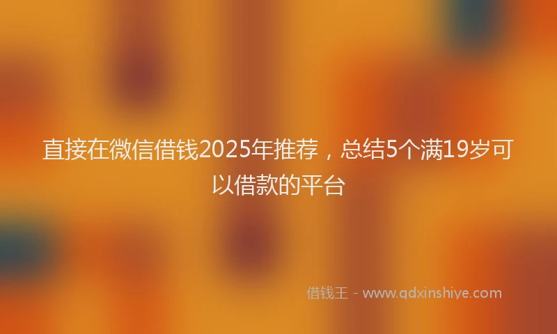 直接在微信借钱2025年推荐，总结5个满19岁可以借款的平台