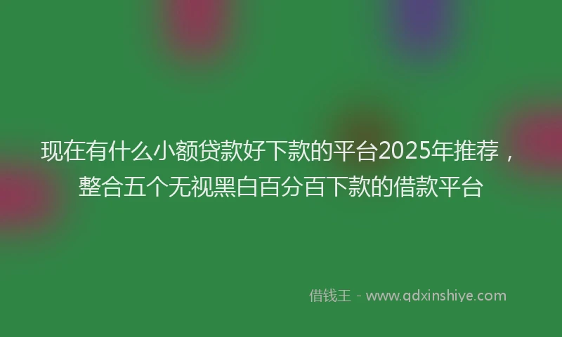 现在有什么小额贷款好下款的平台2025年推荐，整合五个无视黑白百分百下款的借款平台