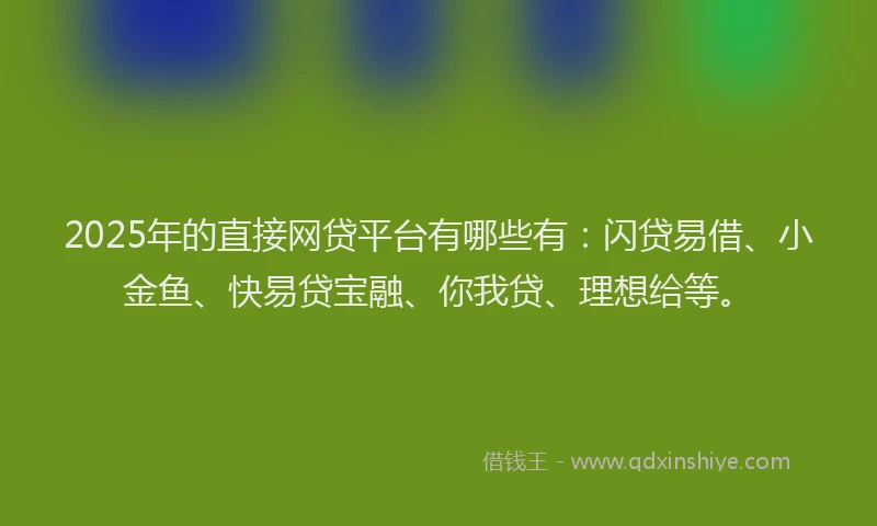 2025年的直接网贷平台有哪些有：闪贷易借、小金鱼、快易贷宝融、你我贷、理想给等。