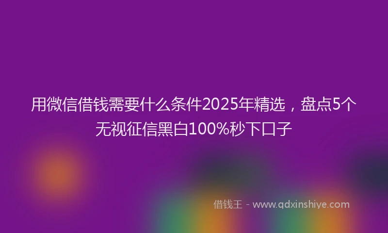 用微信借钱需要什么条件2025年精选，盘点5个无视征信黑白100%秒下口子
