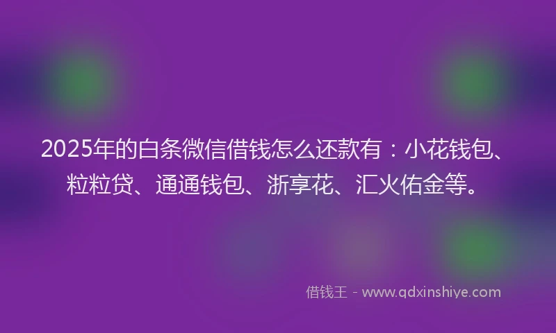 2025年的白条微信借钱怎么还款有：小花钱包、粒粒贷、通通钱包、浙享花、汇火佑金等。
