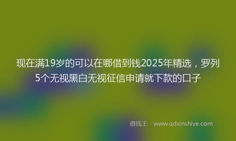 现在满19岁的可以在哪借到钱2025年精选，罗列5个无视黑白无视征信申请就下款的口子
