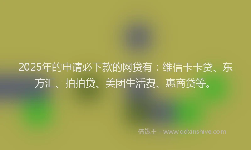 2025年的申请必下款的网贷有：维信卡卡贷、东方汇、拍拍贷、美团生活费、惠商贷等。