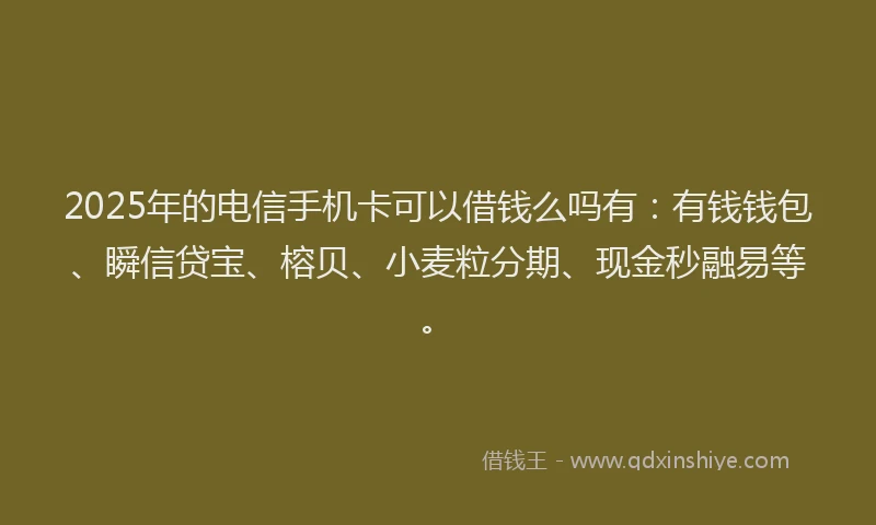 2025年的电信手机卡可以借钱么吗有：有钱钱包、瞬信贷宝、榕贝、小麦粒分期、现金秒融易等。