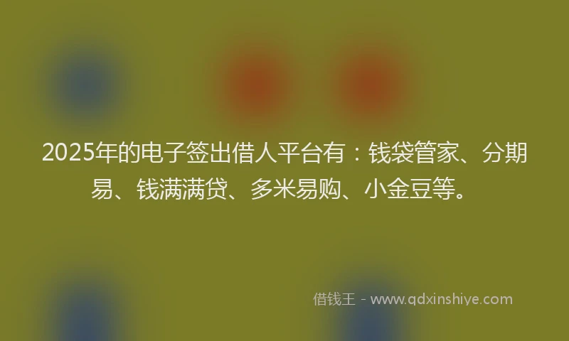 2025年的电子签出借人平台有：钱袋管家、分期易、钱满满贷、多米易购、小金豆等。