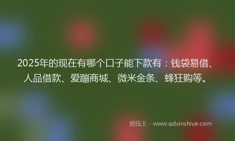 2025年的现在有哪个口子能下款有：钱袋易借、人品借款、爱蹦商城、微米金条、蜂狂购等。
