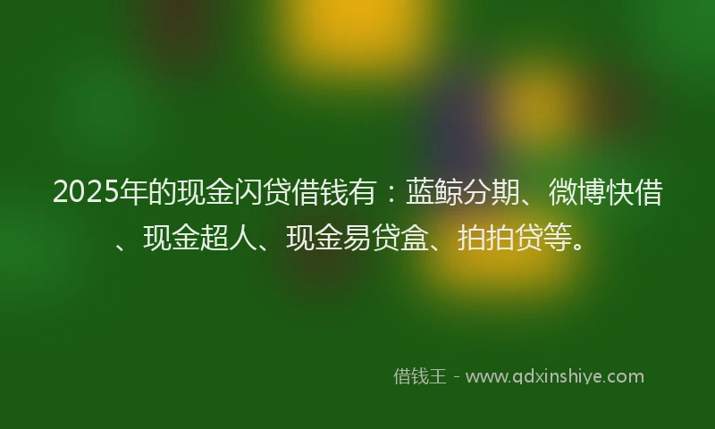 2025年的现金闪贷借钱有：蓝鲸分期、微博快借、现金超人、现金易贷盒、拍拍贷等。