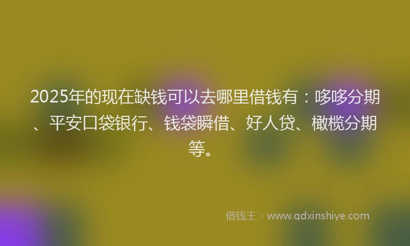 2025年的现在缺钱可以去哪里借钱有：哆哆分期、平安口袋银行、钱袋瞬借、好人贷、橄榄分期等。