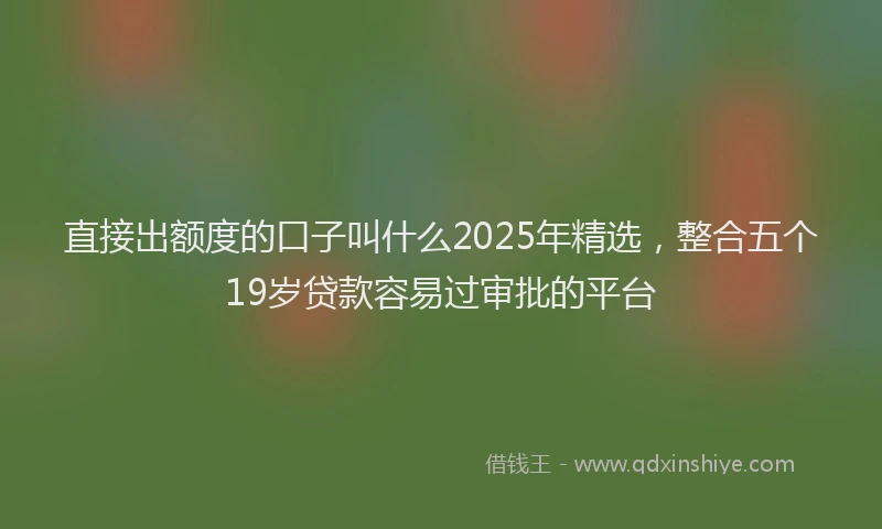 直接出额度的口子叫什么2025年精选，整合五个19岁贷款容易过审批的平台