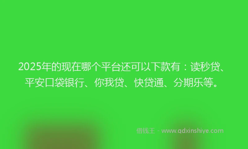 2025年的现在哪个平台还可以下款有：读秒贷、平安口袋银行、你我贷、快贷通、分期乐等。