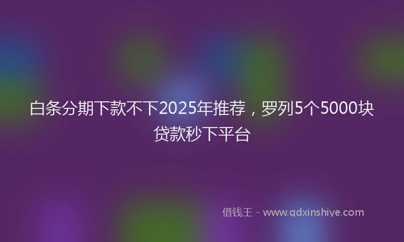 白条分期下款不下2025年推荐，罗列5个5000块贷款秒下平台
