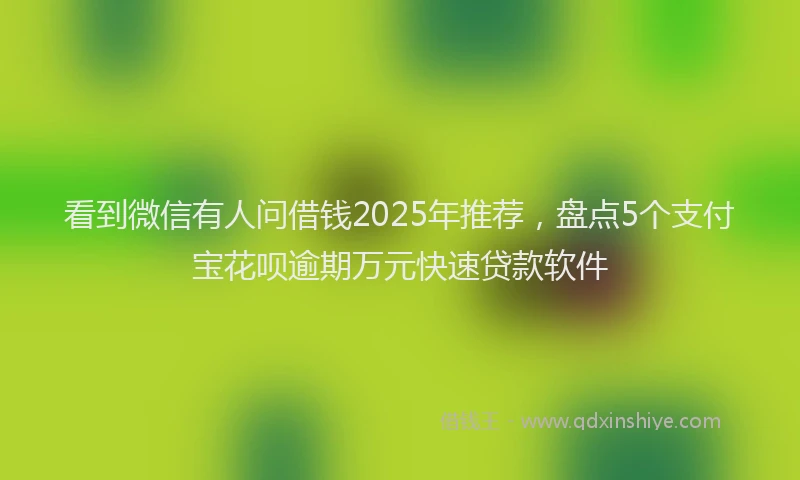 看到微信有人问借钱2025年推荐，盘点5个支付宝花呗逾期万元快速贷款软件