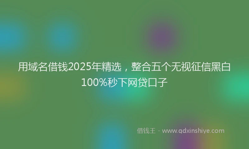 用域名借钱2025年精选，整合五个无视征信黑白100%秒下网贷口子