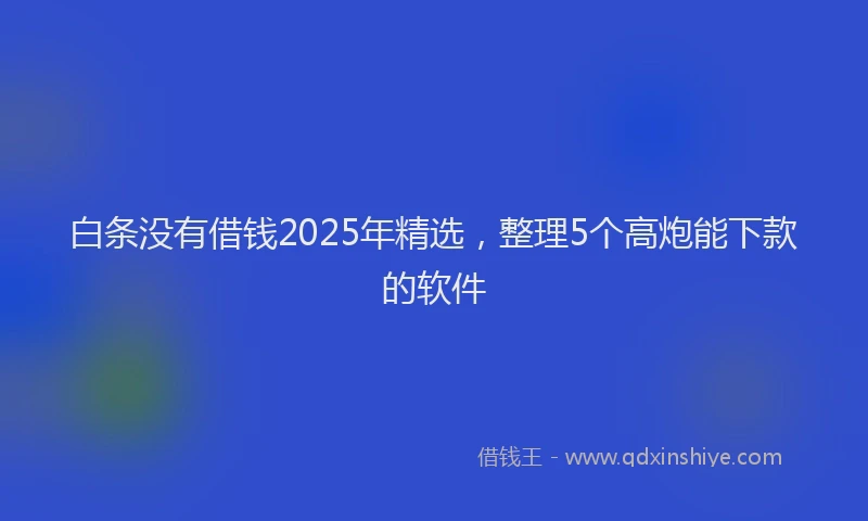 白条没有借钱2025年精选，整理5个高炮能下款的软件