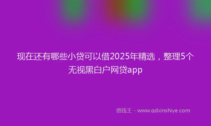 现在还有哪些小贷可以借2025年精选，整理5个无视黑白户网贷app
